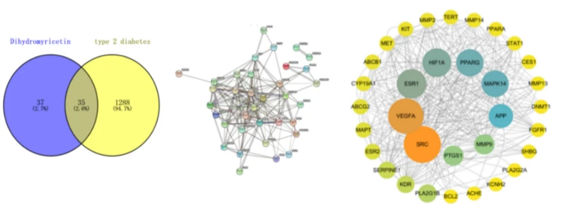 DHM can interfere with diabetes-related biological processes DHM can interfere with diabetes-related biological processes